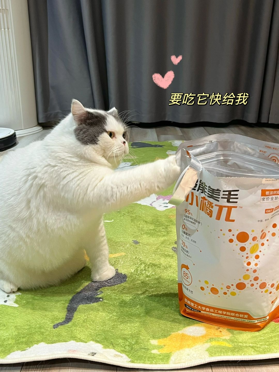 干啥啥不行，偷吃饭饭第一名