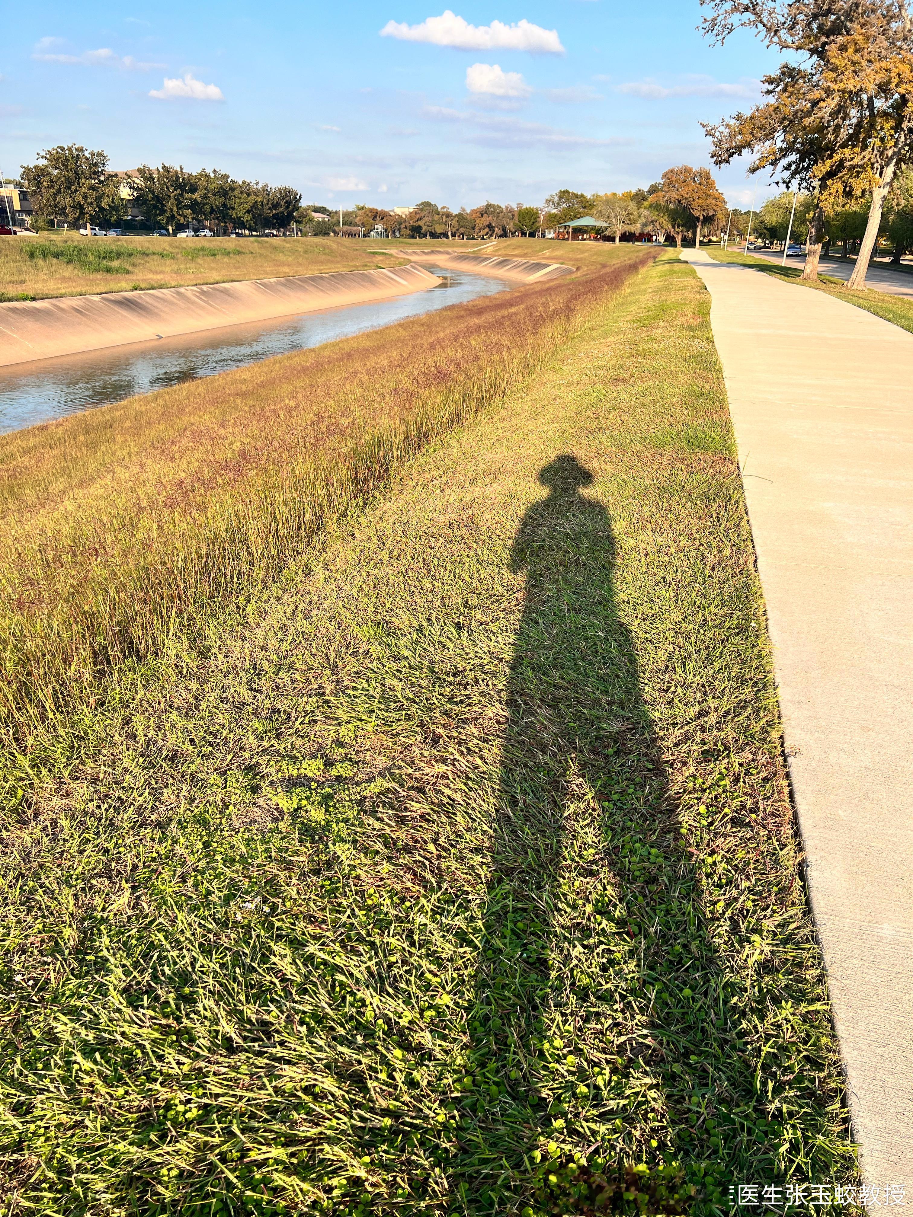 休士顿11月的夕阳特别温柔，不冷不热，恰到好处。今天，我留守在家里 ，一是负责陪