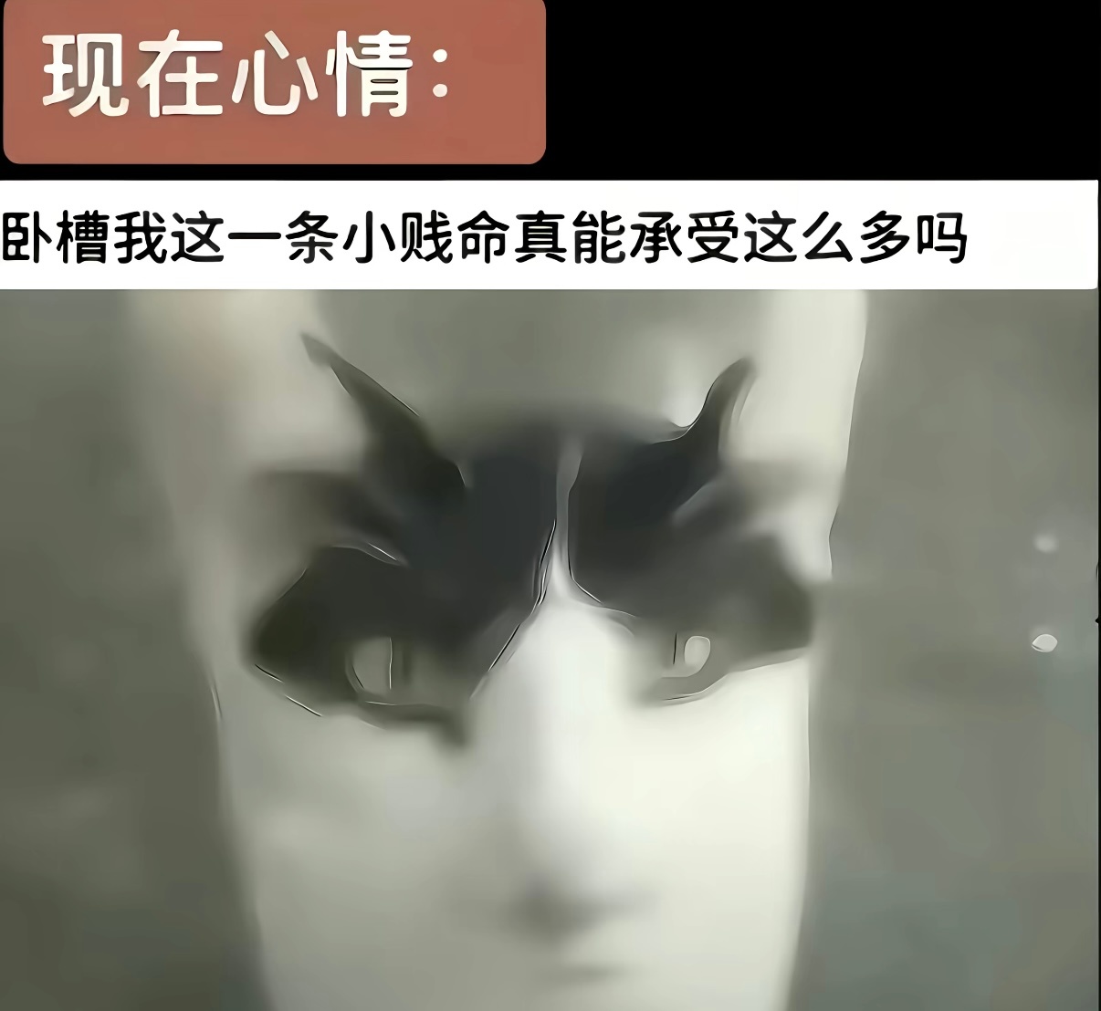 不活了 ​​​