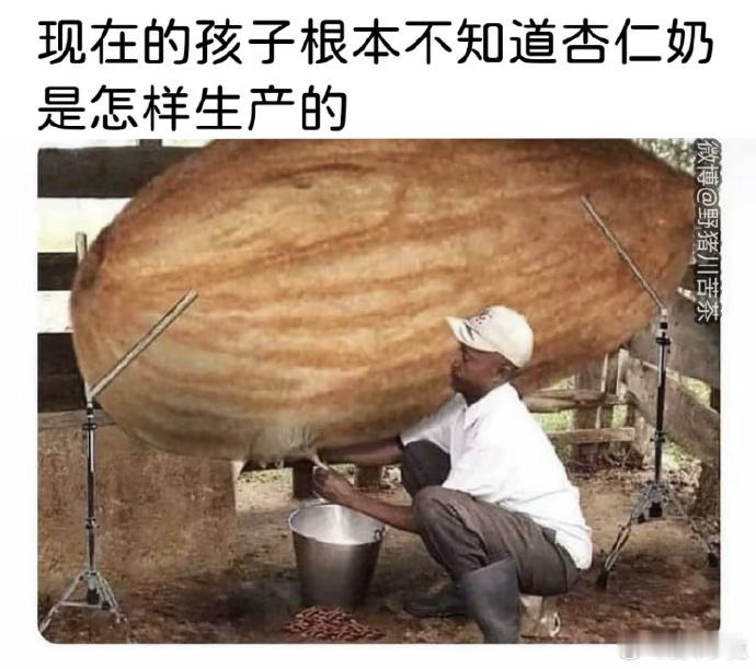 所以我什么时候才能到拿退休金的年纪 