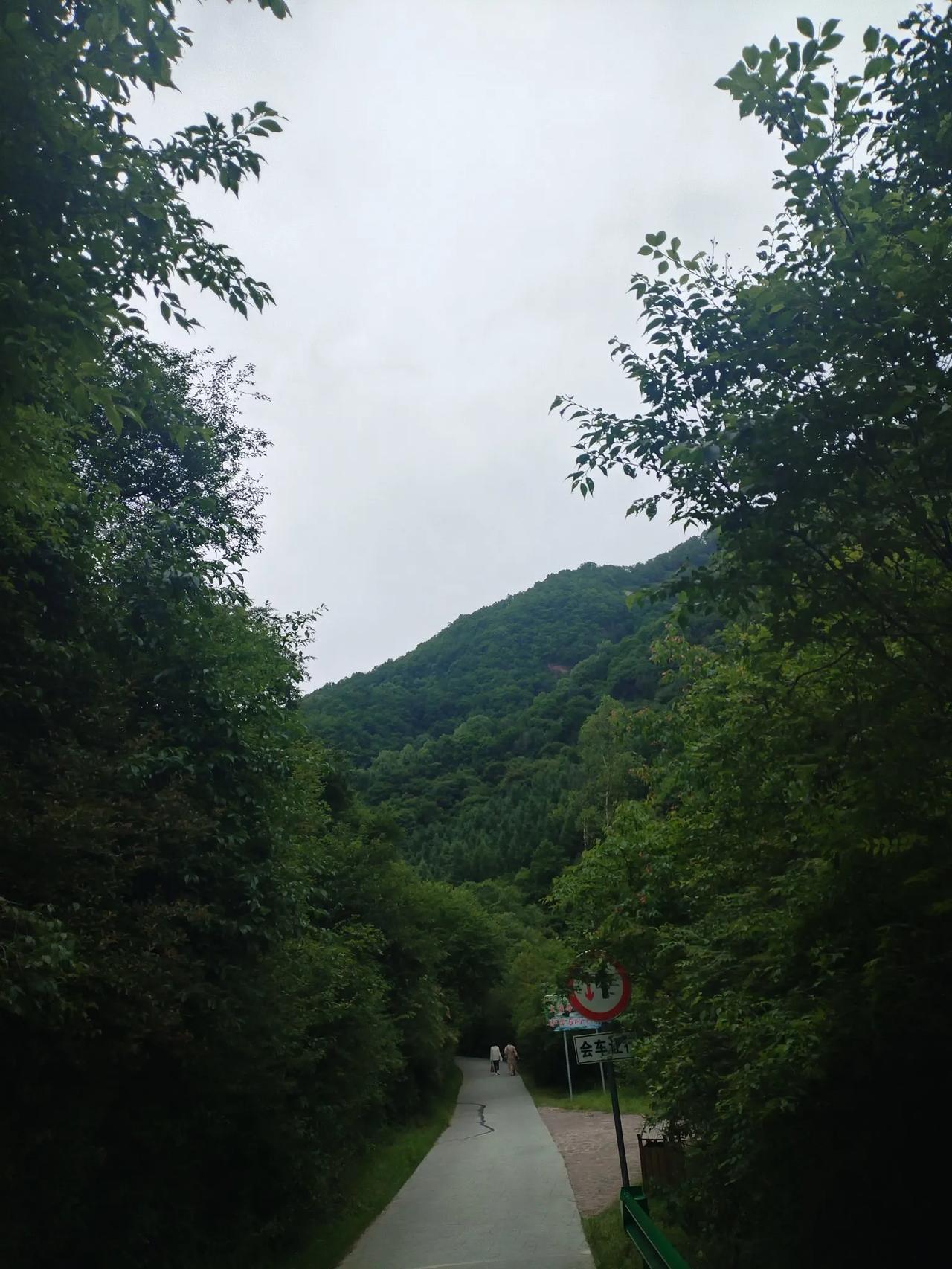 《独处的自由》

在忙碌的生活中，偶尔得闲，我便沉浸于书的世界。不刻意择选，随意