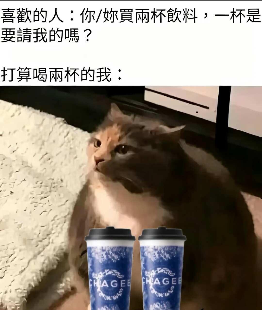 到底是谁在偷窥我
meme 梗图 别吵我在思考 抽象