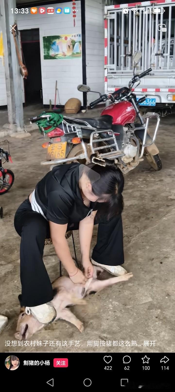 如今农村妹子可太牛了！重庆一位高颜值女孩，3月28日给猪做绝育的视频火了。她身着
