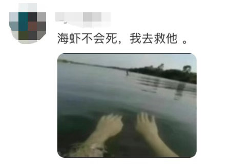 南部档案还要虐我几集这个南部档案真的是要把我虐死了啊！真的是太难受了啊海虾你撑住