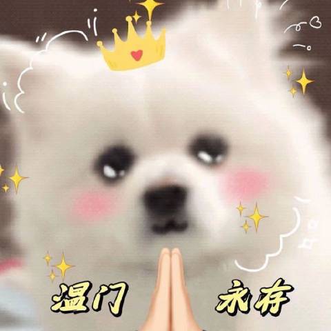 娇娇娱乐