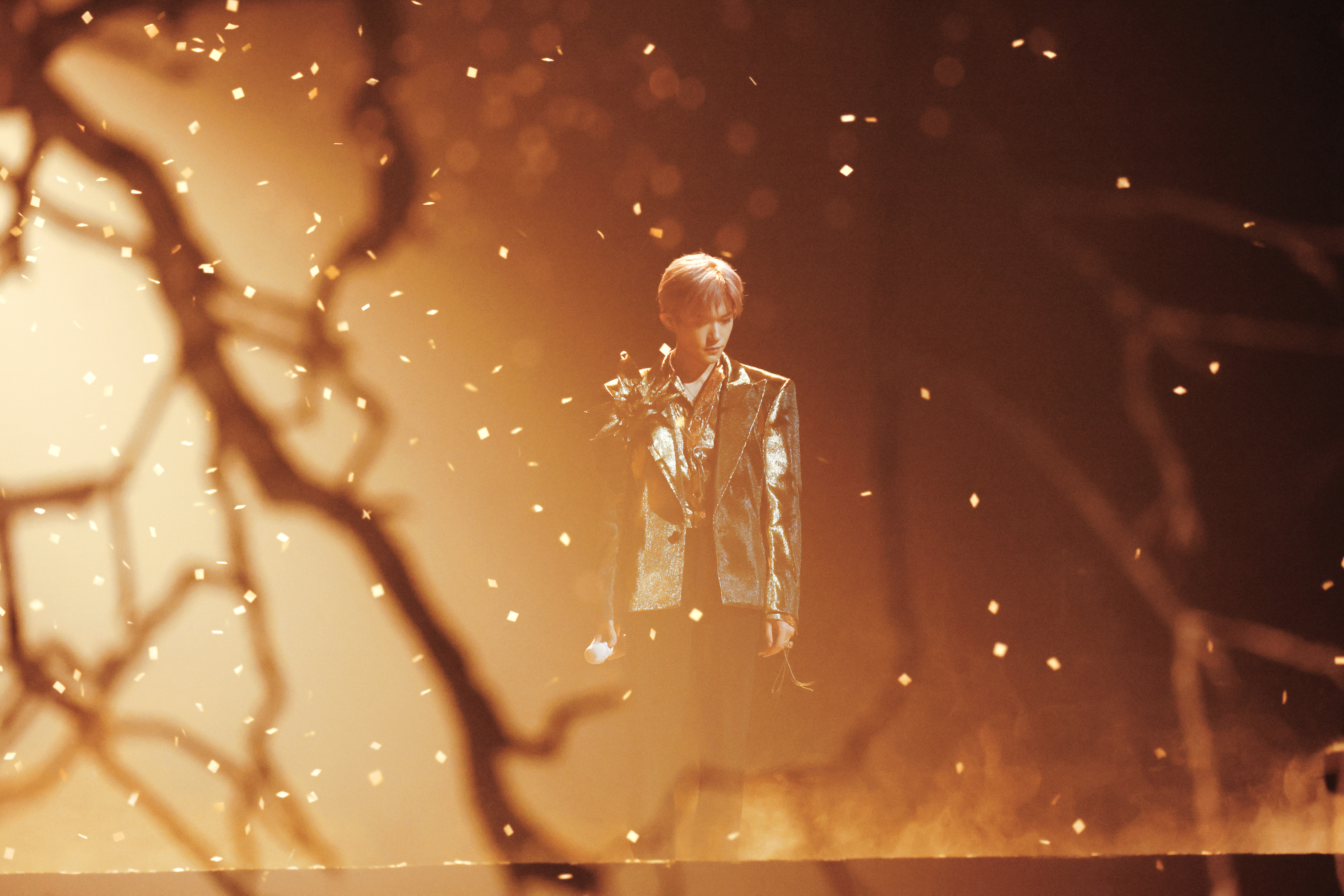 2025最燃音乐现场TOP30礐嶨 