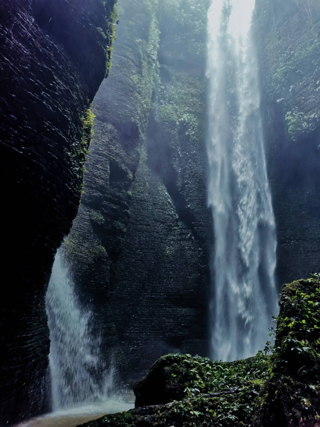 成都向南这个清凉的徒步秘境，鬼魅又壮观！