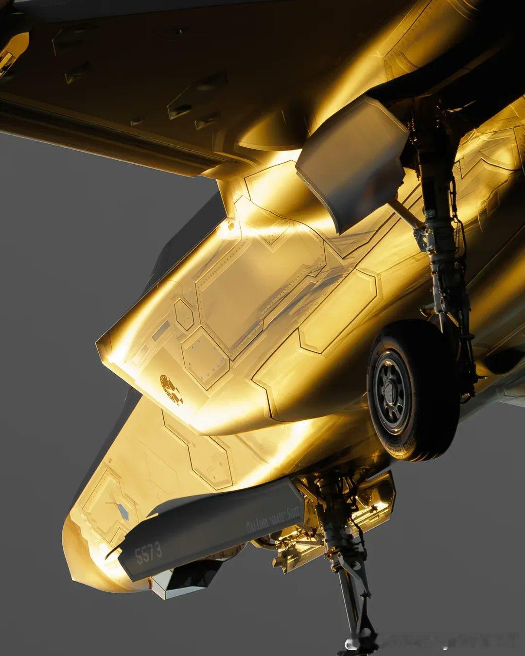 油光水滑的肥电 