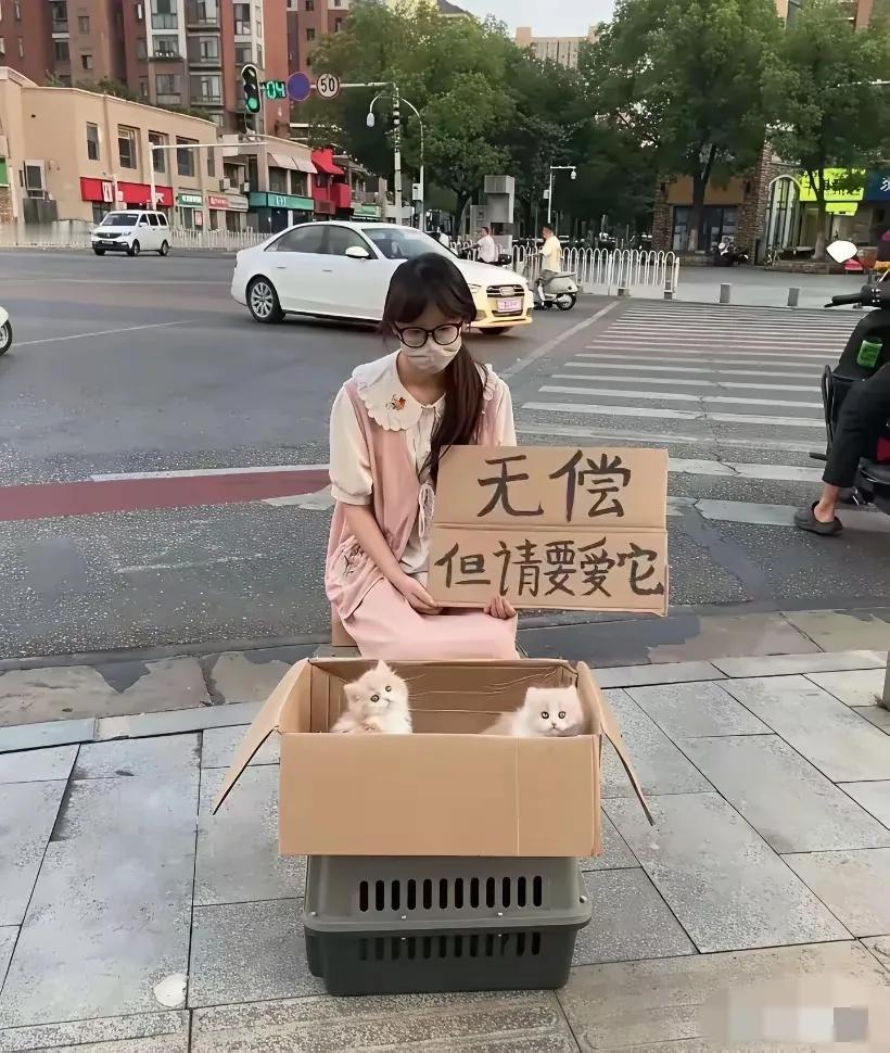 另一种营销而已，玩的文字游戏吧。猫不要钱，其他都要钱？