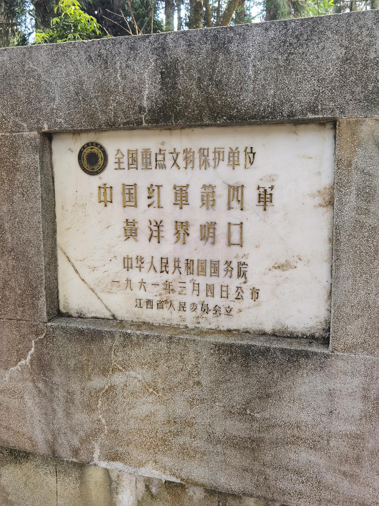 早餐后，我在服务总站买了一张80元的大巴车票，凭票可以在5天内任意乘坐井冈山风景