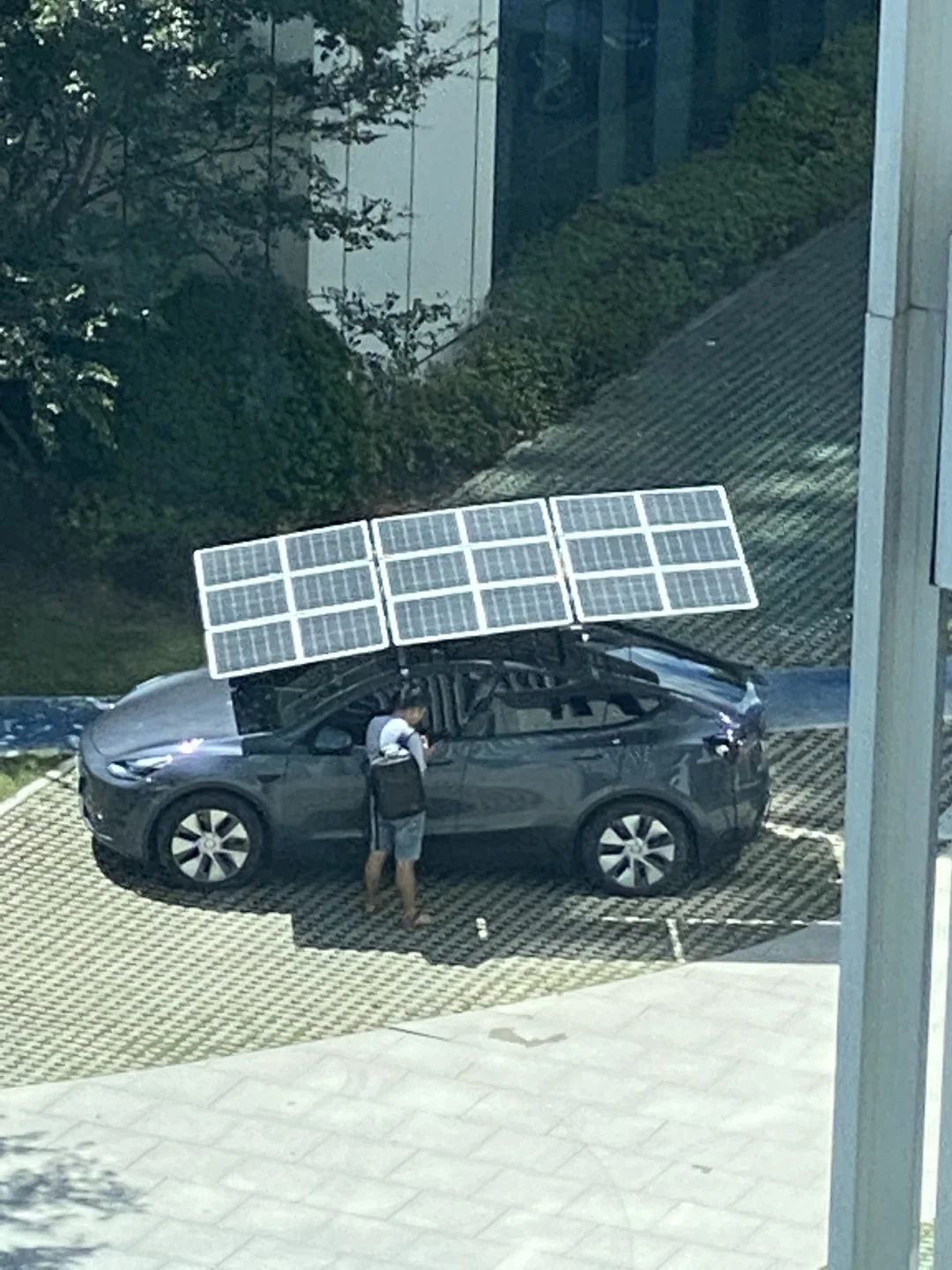 特斯拉：我永生了…