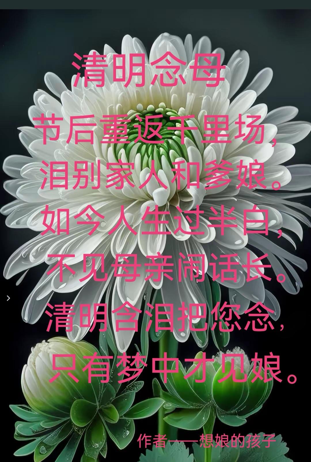 清明念母
节后重返千里场，
​泪别家人和爹娘。
​如今人生过半百，
​不见母亲闹