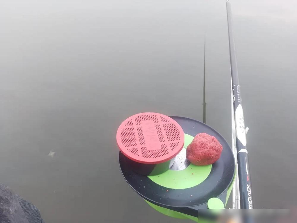 仲春阴天，气温九到十八度。
有人在浅水区钓了一小时没口，收竿后问这种天该坚持多