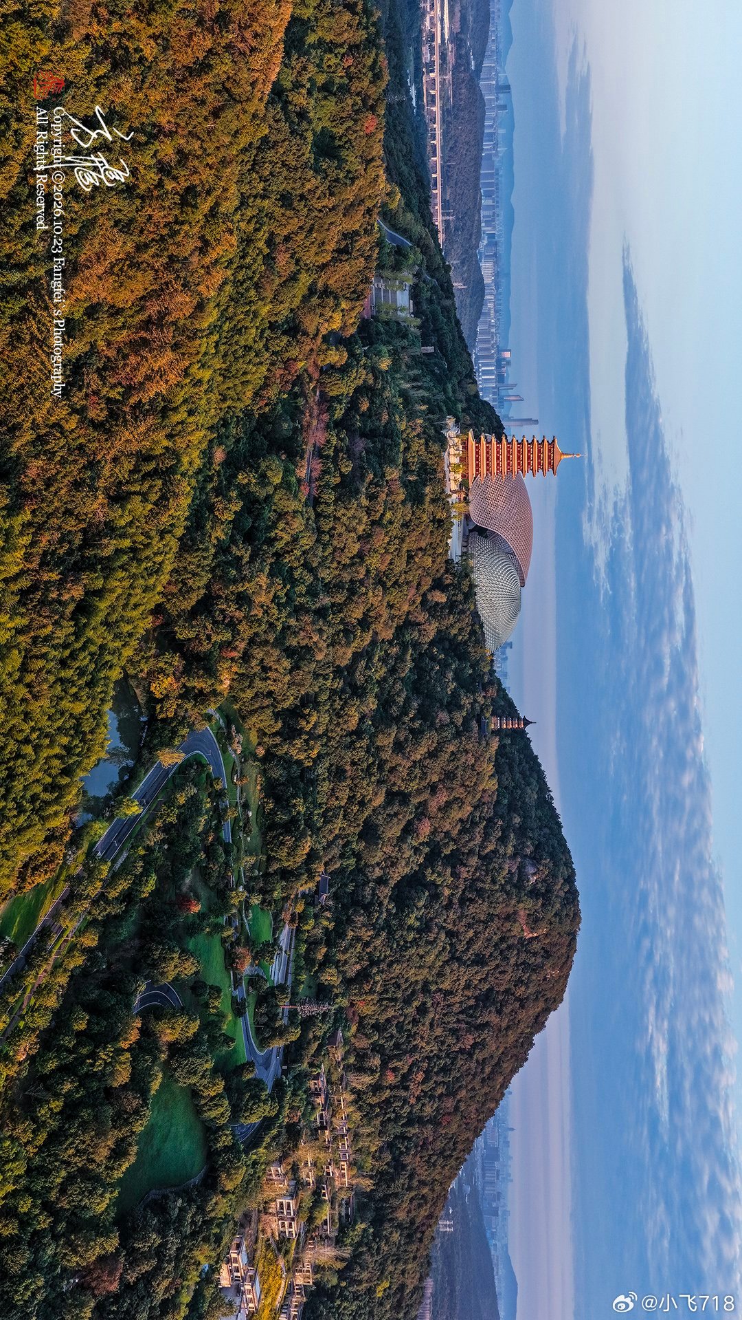 南京的秋天，好天气本就稀缺，能遇上朝霞的清晨更难得。牛首山几颗室外菩提树，秋日常