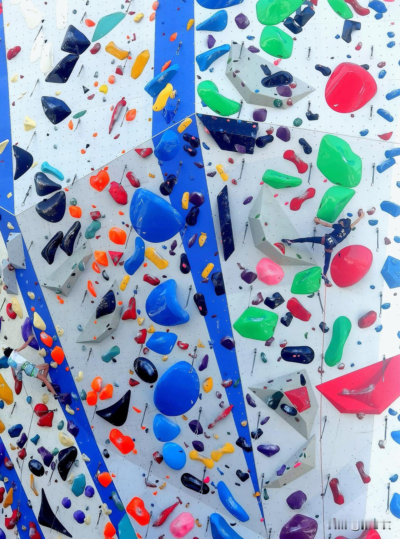 有感于昨日少年攀壁：
指尖触碰岩壁的刹那
每一步向上的撕裂
都是生命的挣扎
登顶