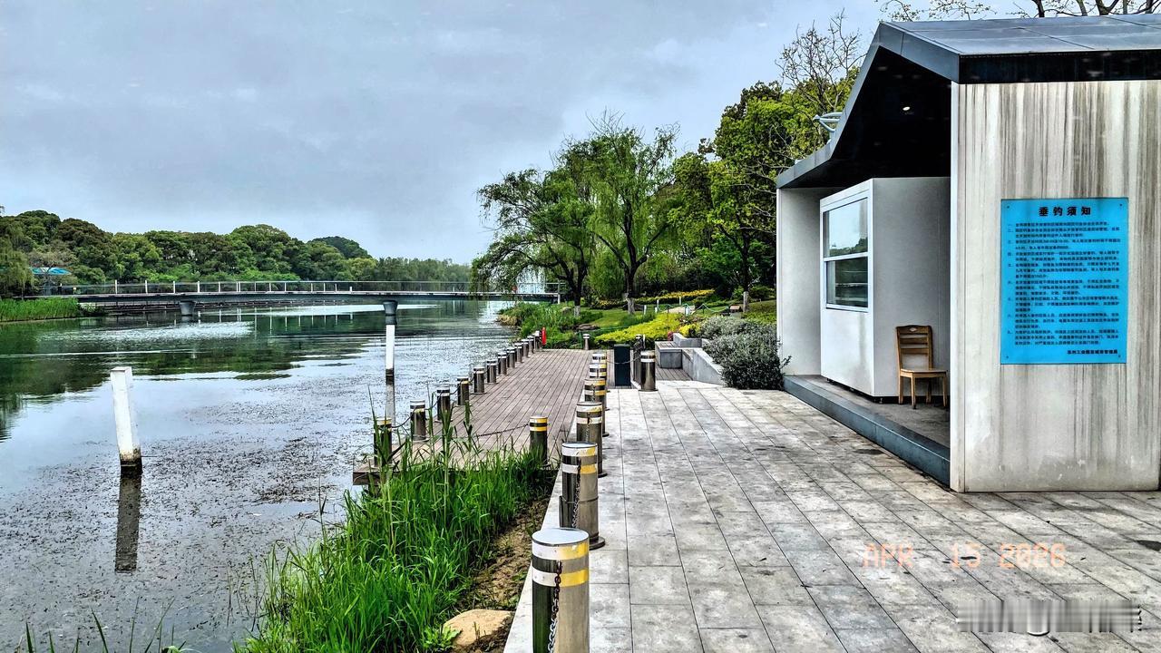 金鸡湖边钓鱼台
许久未见钓佬来