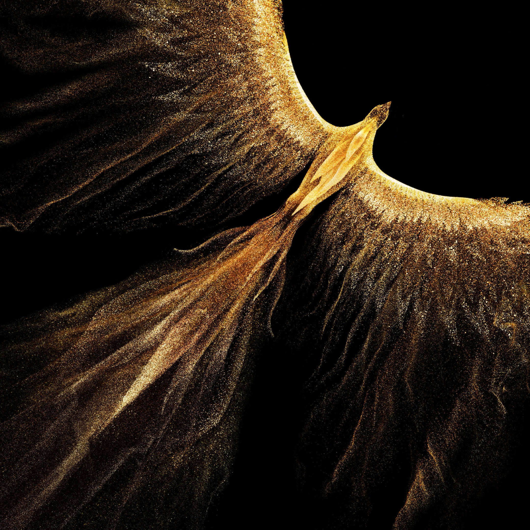 荣耀Magic V6 内置壁纸 这手机8999起售，价格还真不算贵～