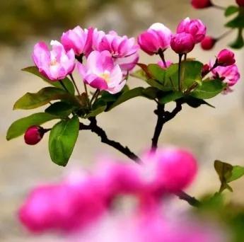 外围战火引发原油价格暴涨，下周这几个板块值得关注！
周末，据媒体报道，外围战火仍