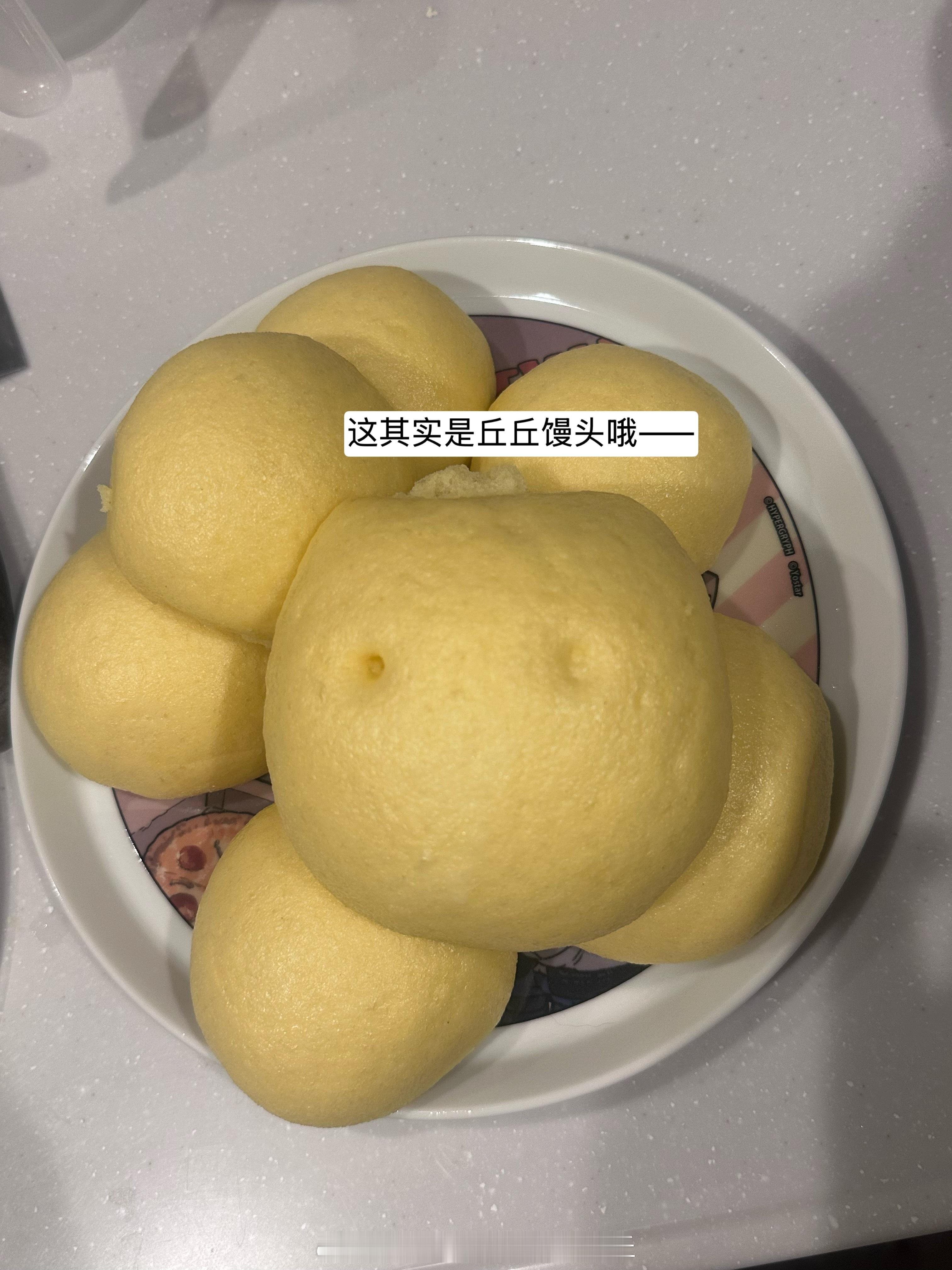 小丘丘活动日记 去毛毛baby家玩了！好久没见到猫猫们了！还多了一只！毛毛bab