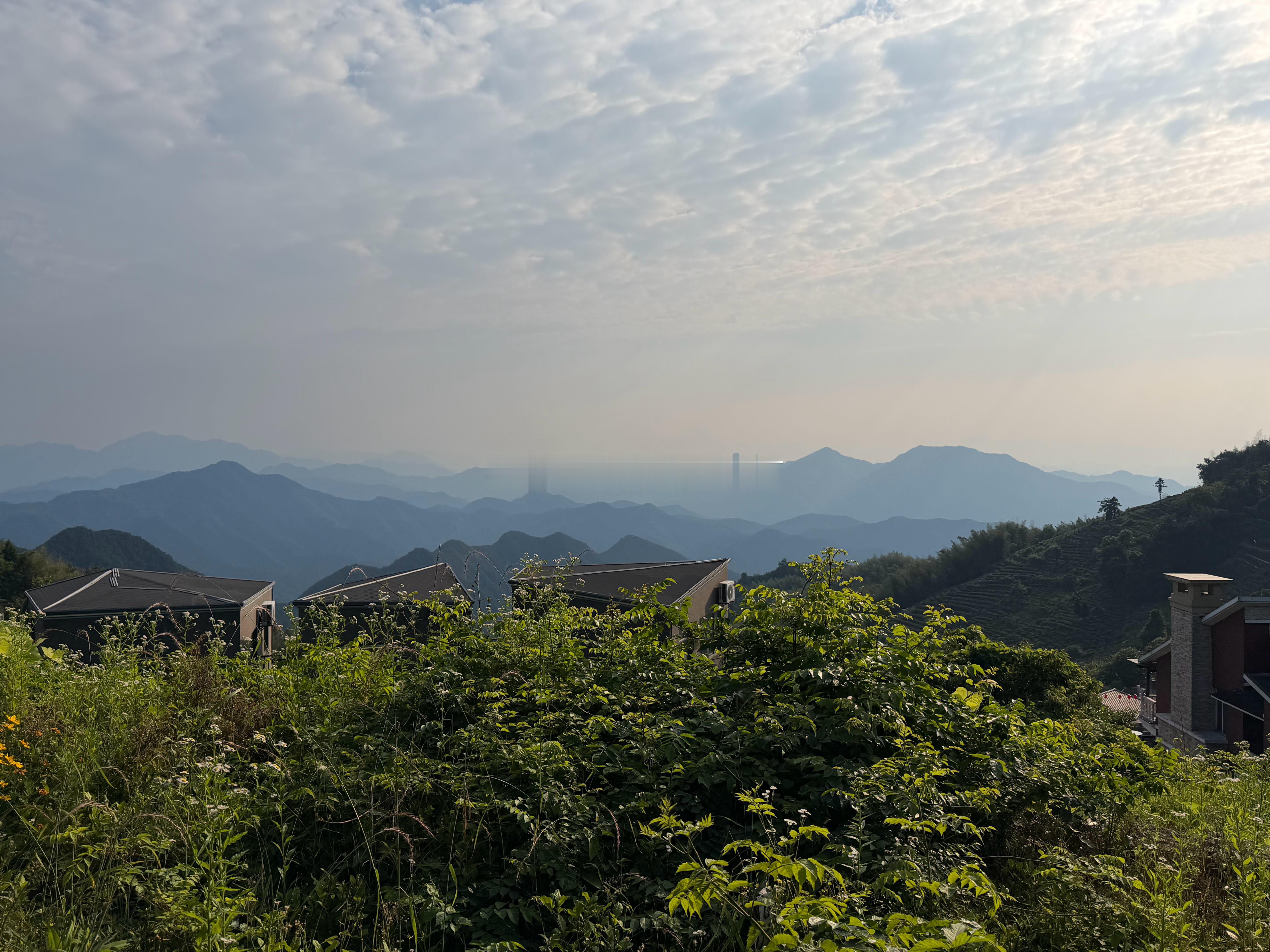 分享图片 