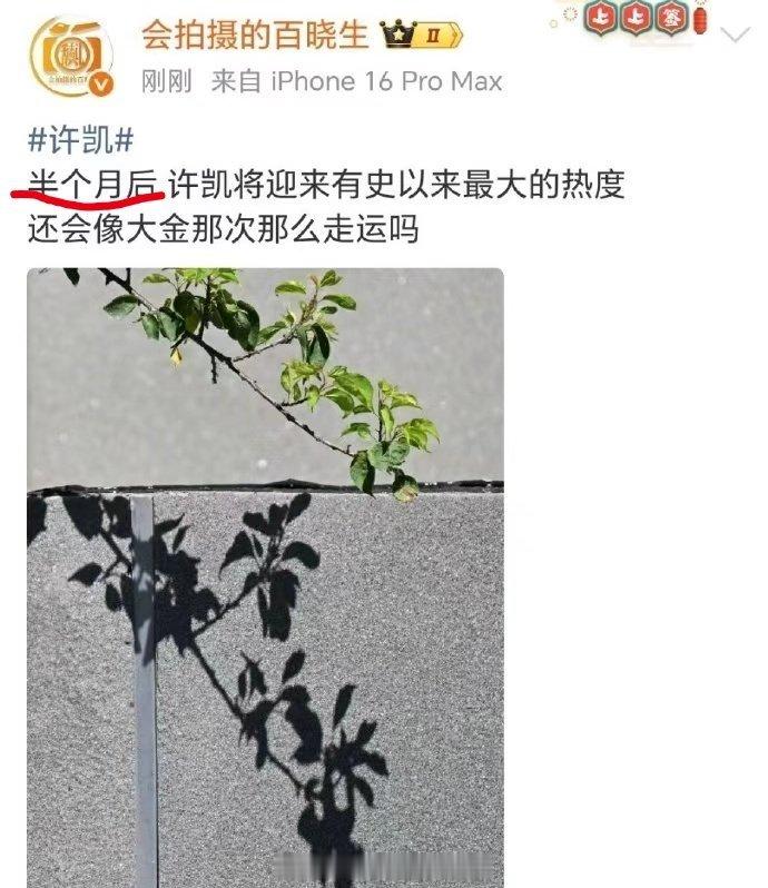 狗仔说半个月之后许凯会迎来有史以来最大的热度，和许荔莎说的休战半个月有关吗？不明