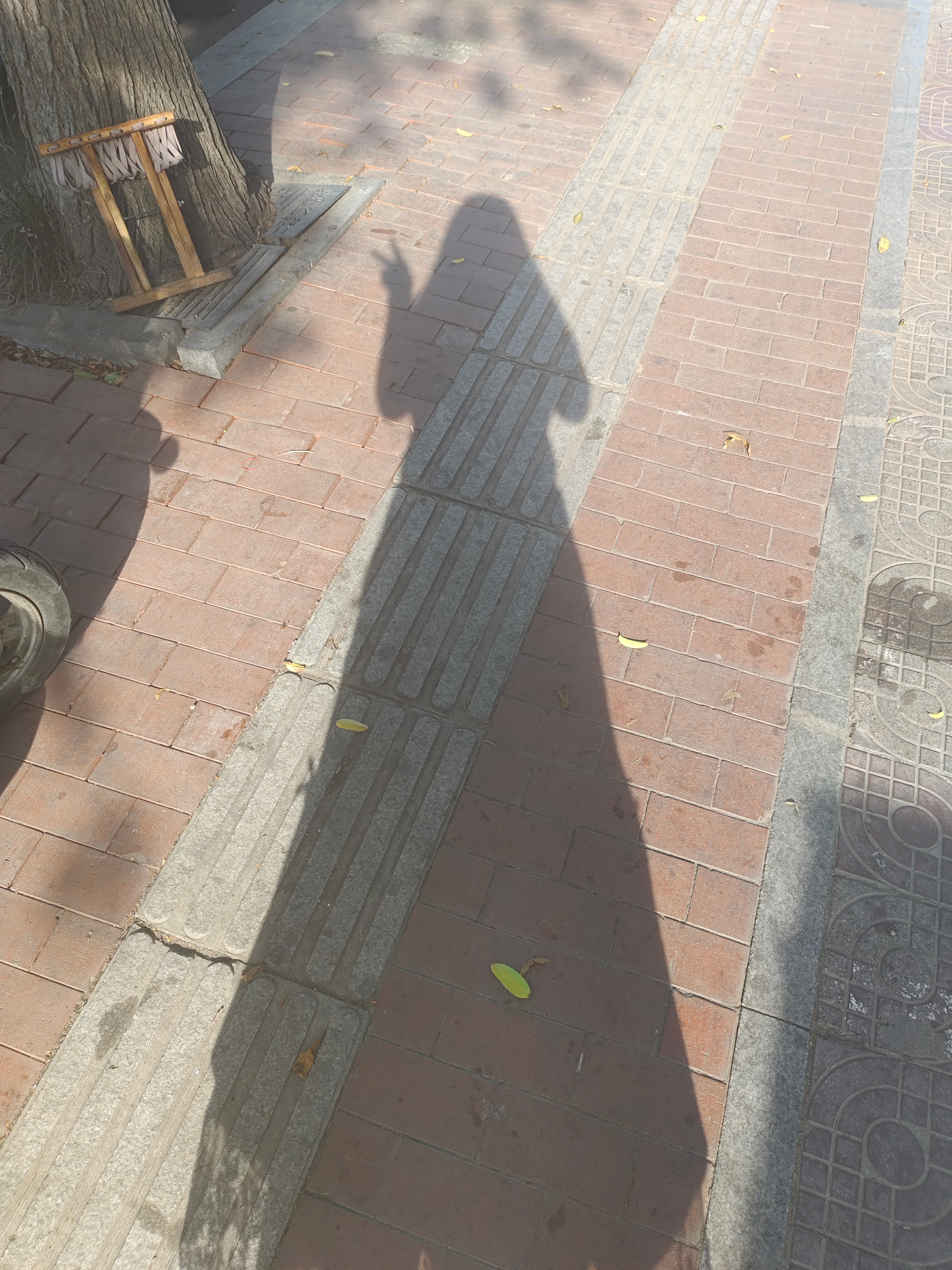 阳光不燥，微风正好 