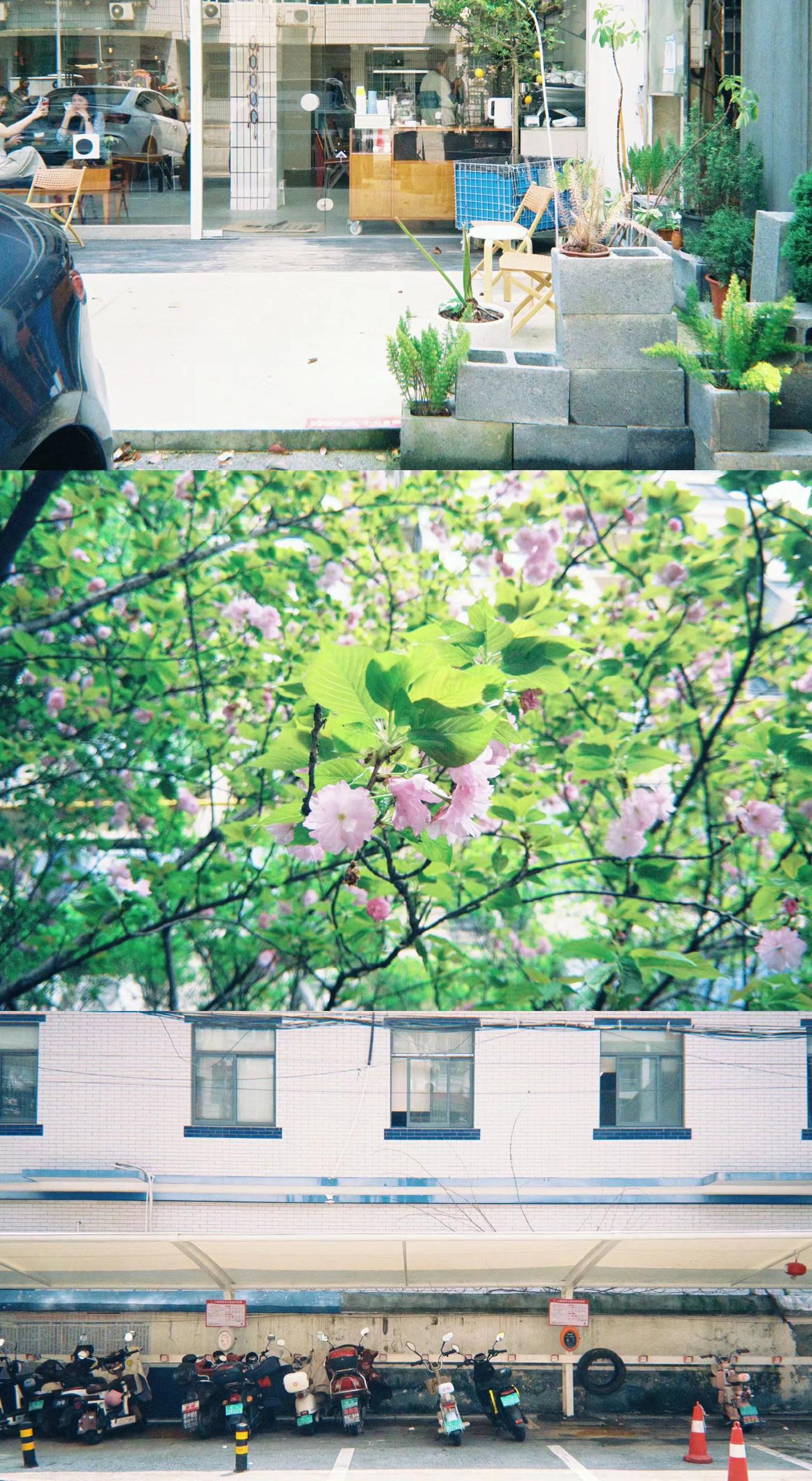 ☕街角咖啡店的光，是城市未说出口的诗✨
🌸樱花在镜头里炸开，春天便有了形状💥