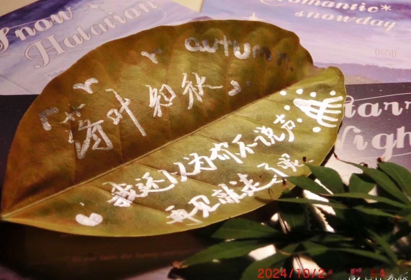 别怪我磕橹穆了，穆祉丞你沙溢思