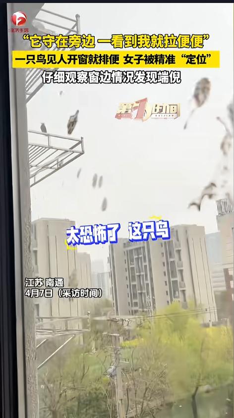 “万万没想到！”近日，江苏南通，一女子在自己家中，发现窗户上有鸟拉的屎，她想清理