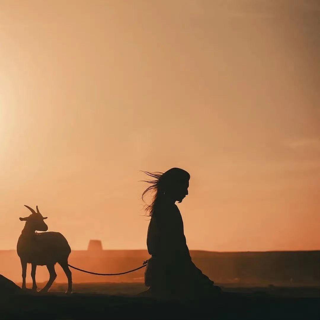 太平年带火牵羊礼热议，千年投降仪典的真实模样，远比影视更有深意
 
一部《太平年