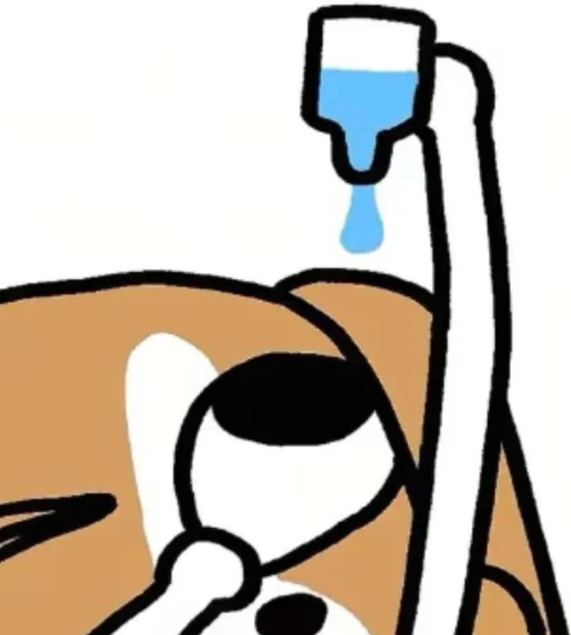 哎，如果不结婚不生小孩，她本可以快乐潇洒地度过一生