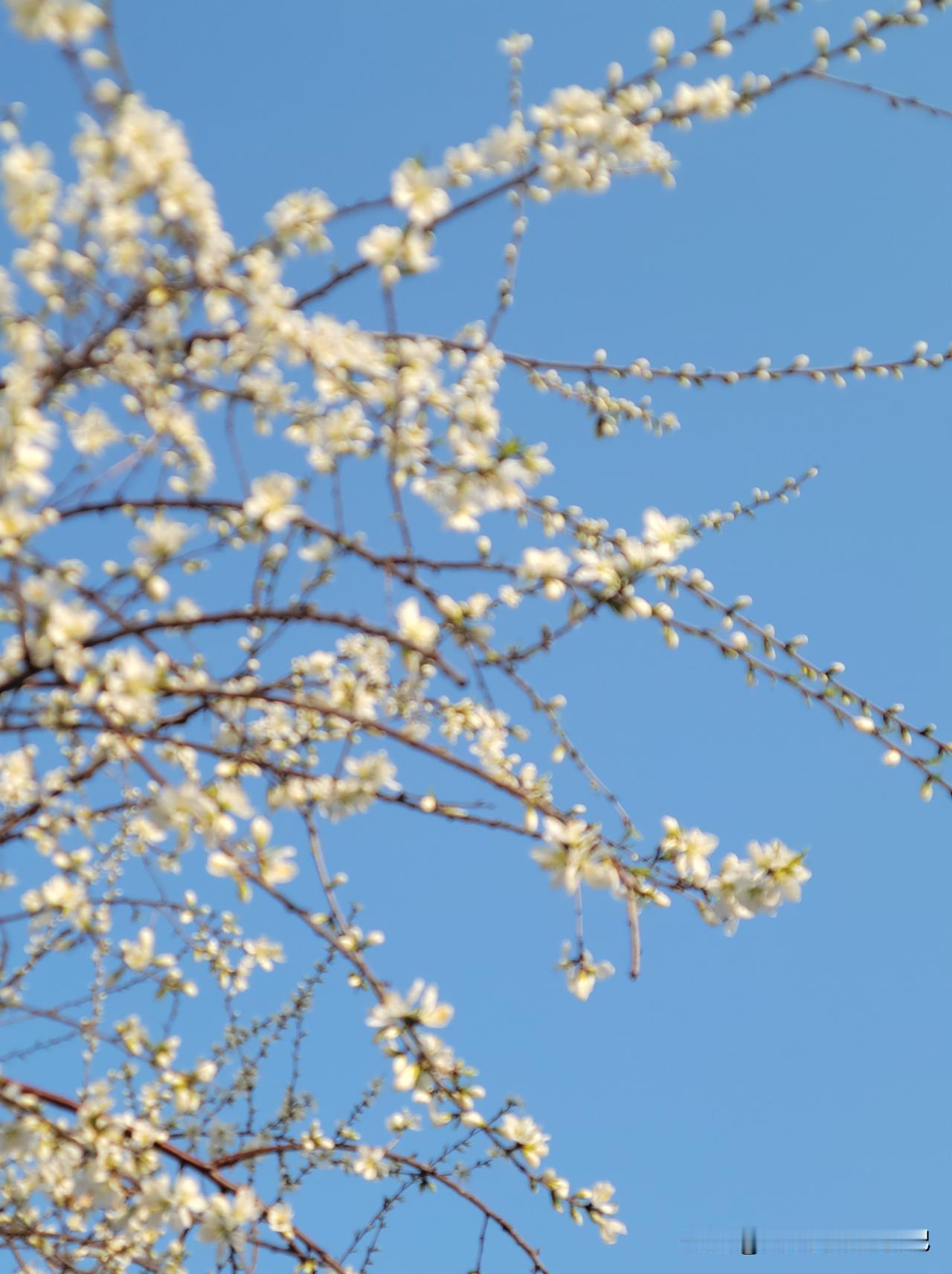 电视剧里面的情节，也会在实际生活中上演。儿子说，他的港硕同学中，有的将来是回家继