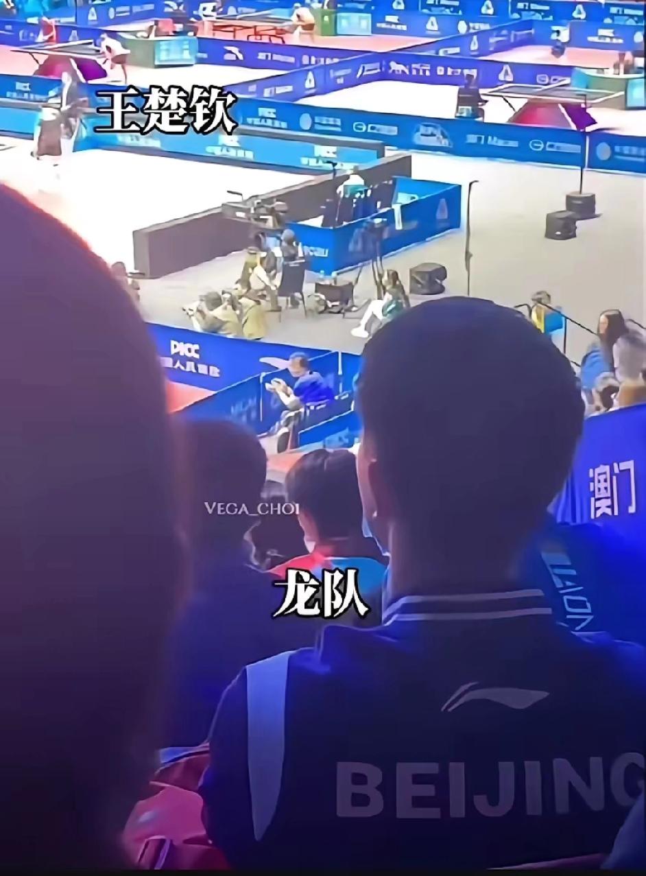 马龙今晚特意去现场观看王楚钦的比赛，虽然过程有些曲折，但王楚钦最终还是晋级了8强