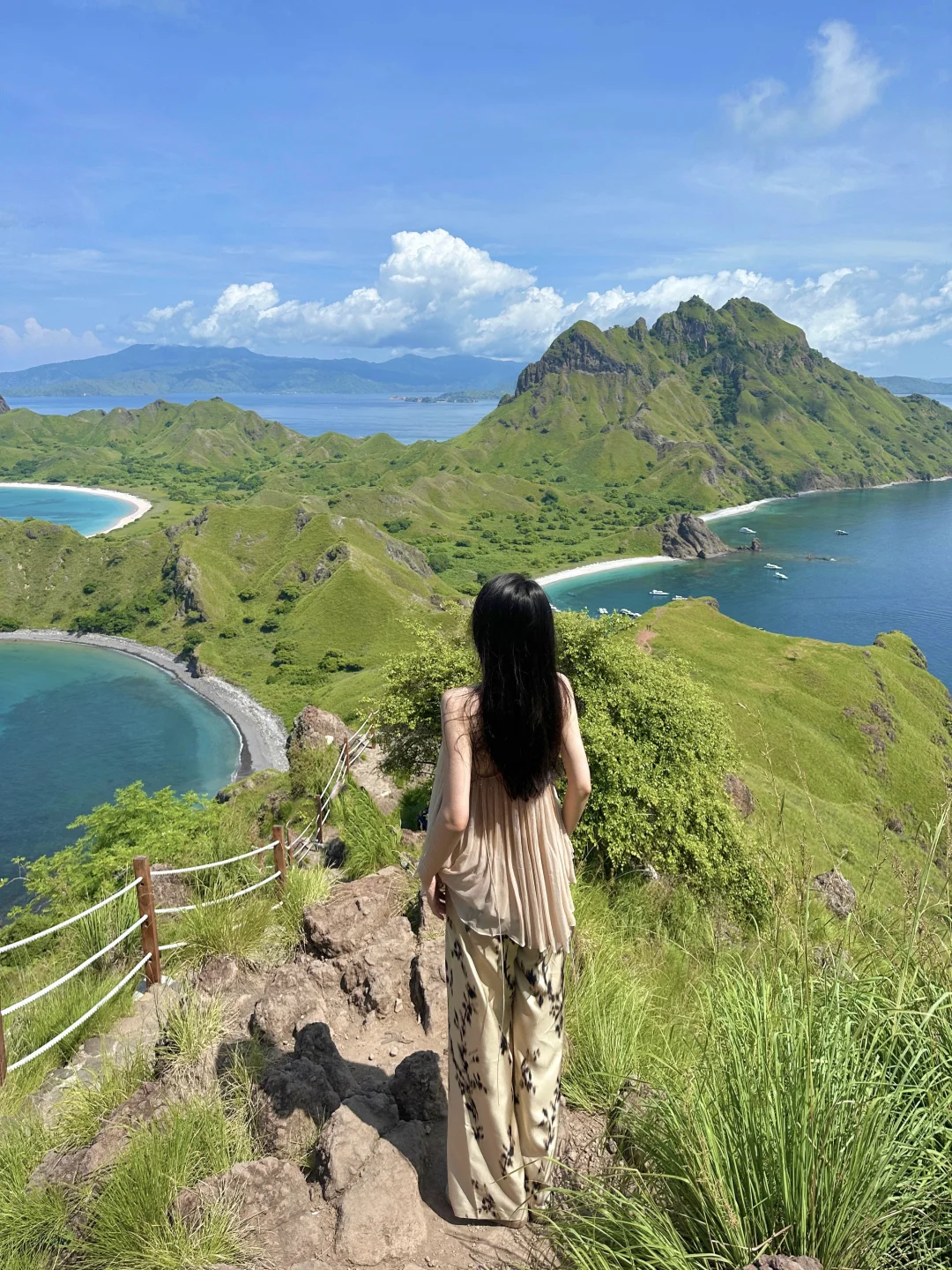 科莫多🇮🇩｜春节印尼雨季豪赌成功