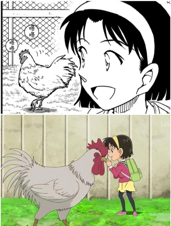 动画组你在搞什么啊#名侦探柯南##动漫# ​​​