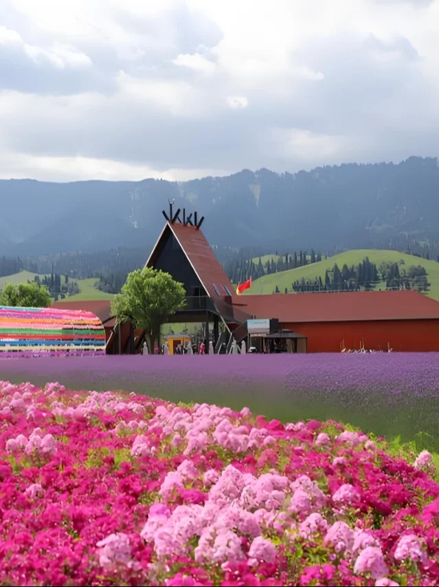 南北疆15天大穿越，新疆旅游找享自由吧