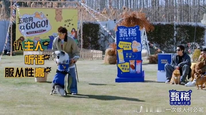 王勉带“女儿”cookie上五哈，开场先叮嘱全场：看好自己家小狗啊！为啥？因为现
