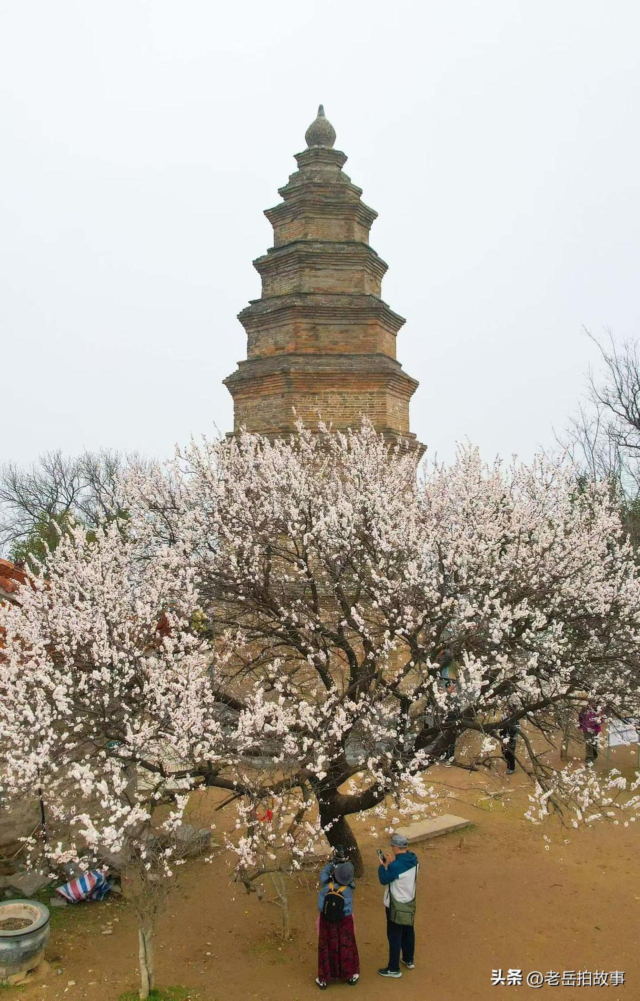 我父亲是一个老中医，他在世的时候经常给我们兄弟们讲一些他所知道的离奇事情。尤其是