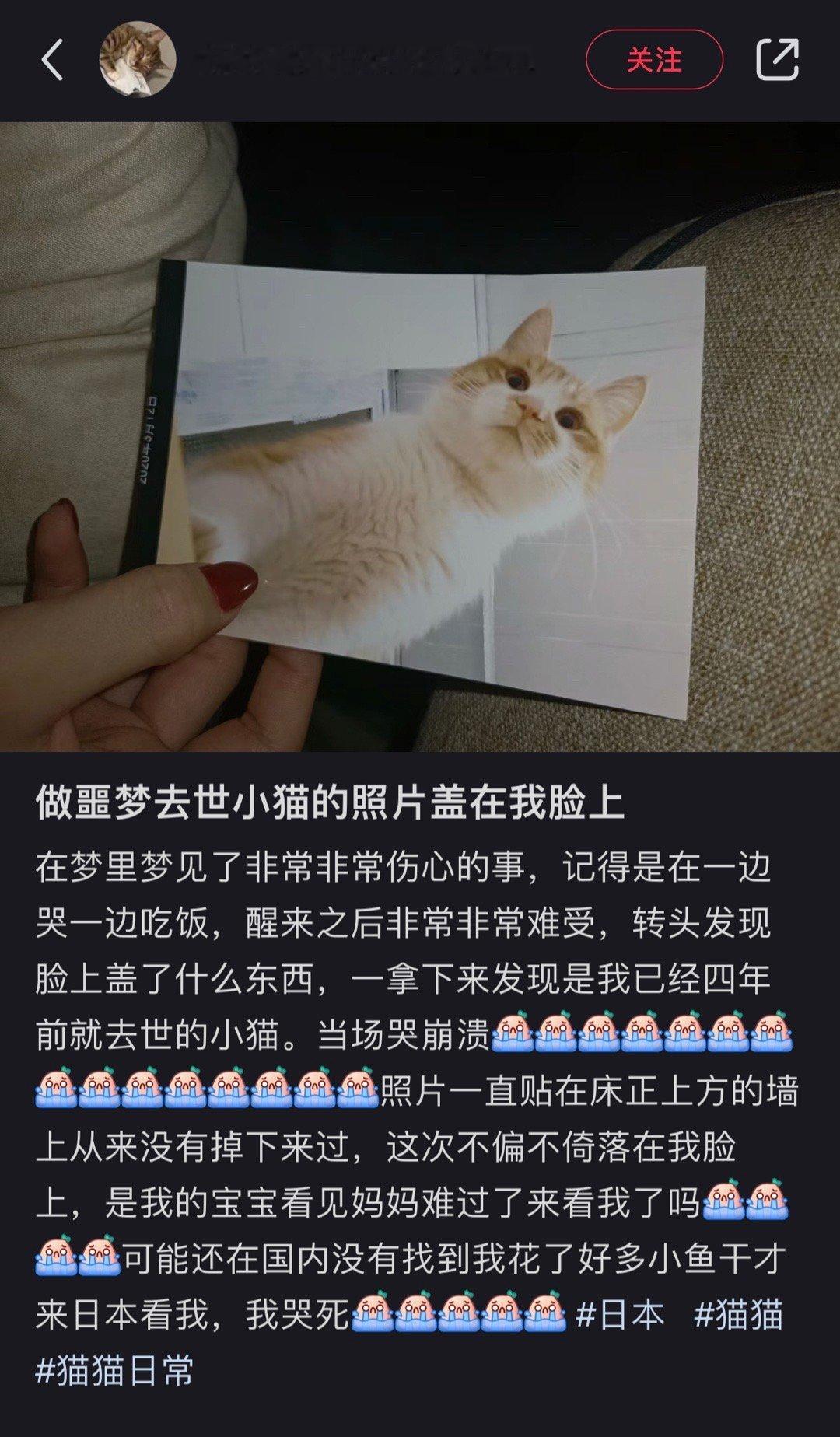 “听说要抓一万只老鼠才能这样来看你一次” ​​​