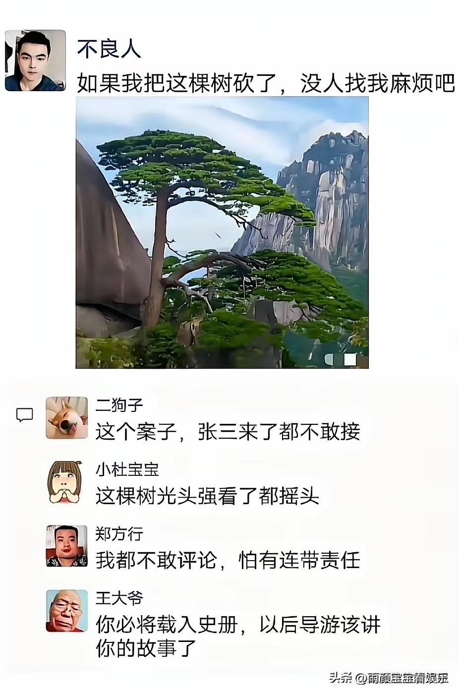 不得不说，有时候会差点笑死在评论区！[捂脸][捂脸]