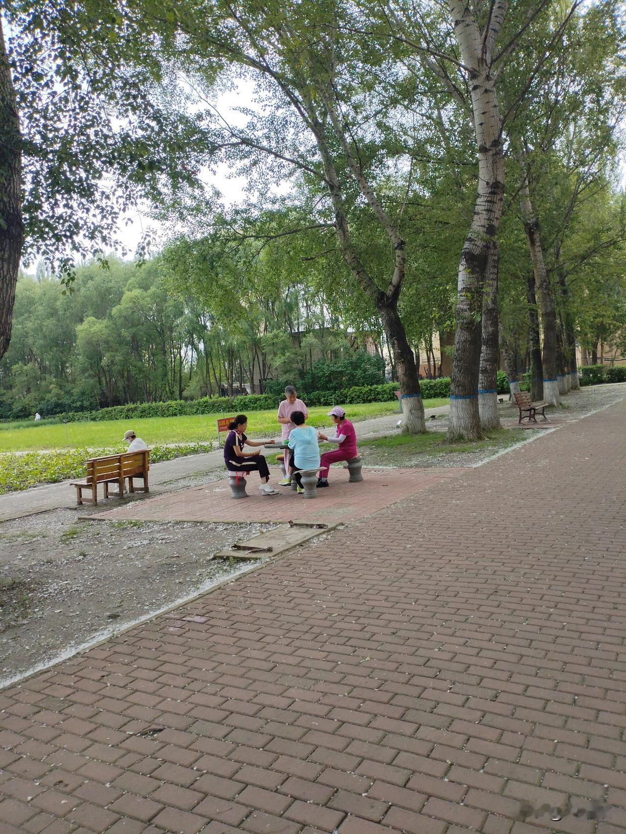 台风巴威对我的日常生活没有任何影响。
   因为我生活在风水宝地，黑龙江省肇东市