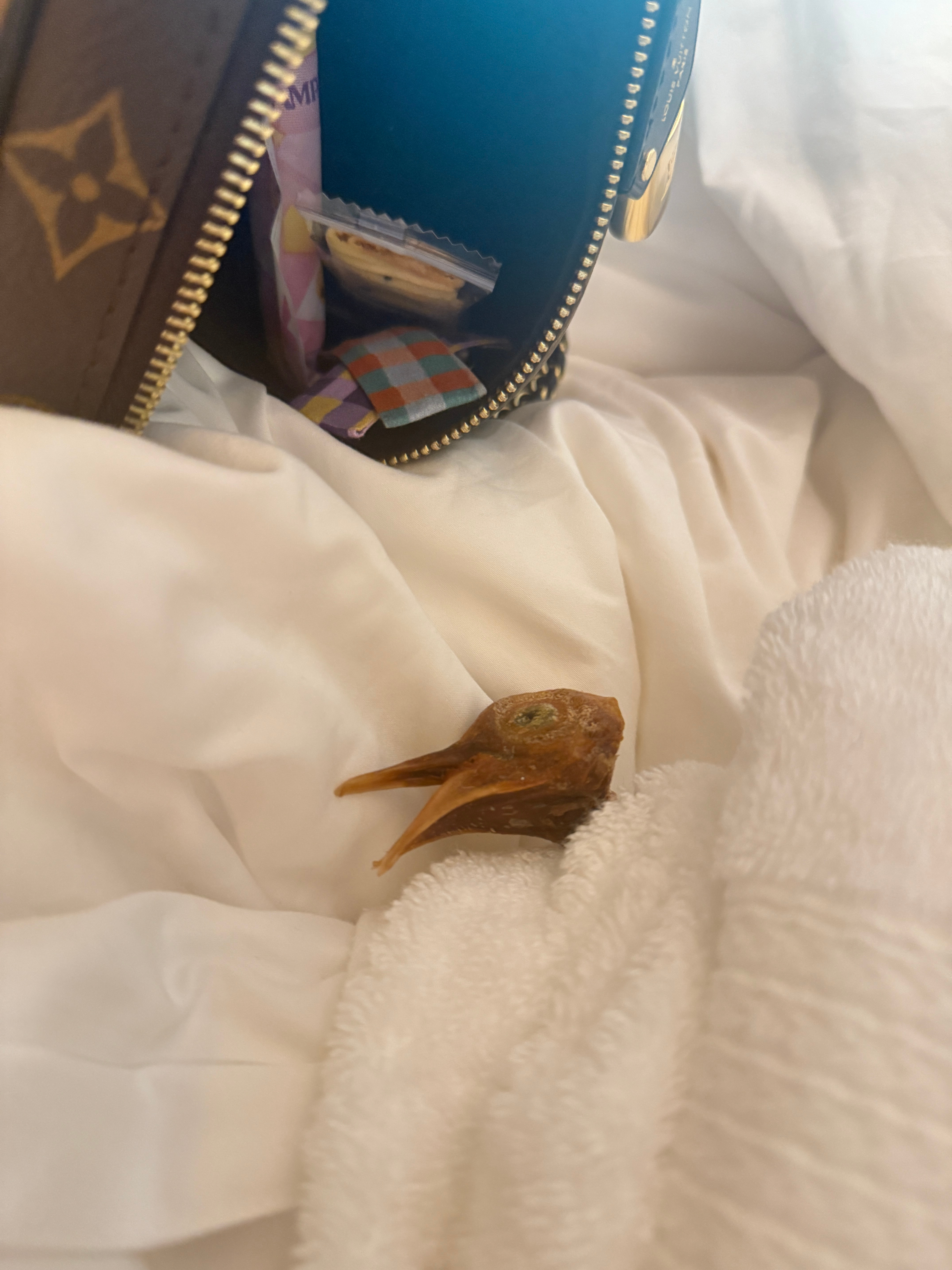 打开包，看到一个像板栗一样的东西拿出来一看差点把我魂给吓出来 