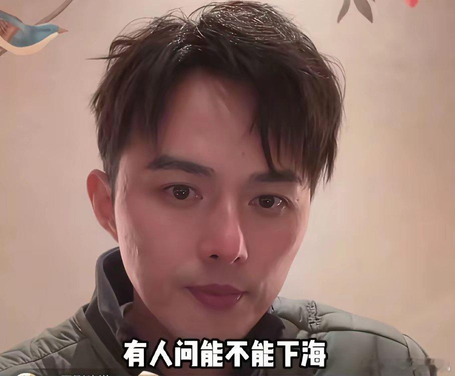1月6日，叶祖新在直播的时候，粉丝让他下海，叶祖新一脸懵，不知道下海啥意思，想了