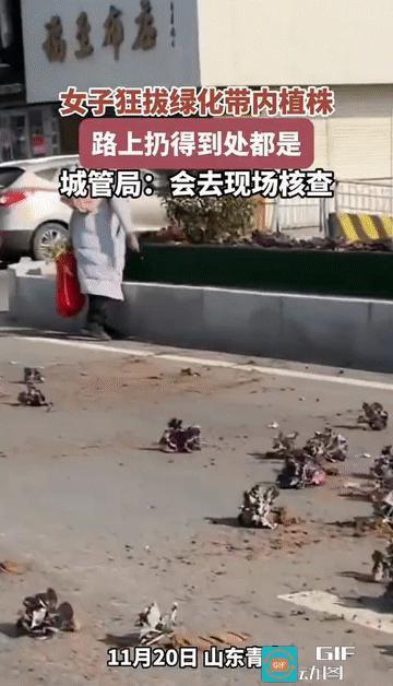 “‘小仙女’又来作妖了!”山东青岛，有网友路过某地时，发现一女子不知什么原因，竟