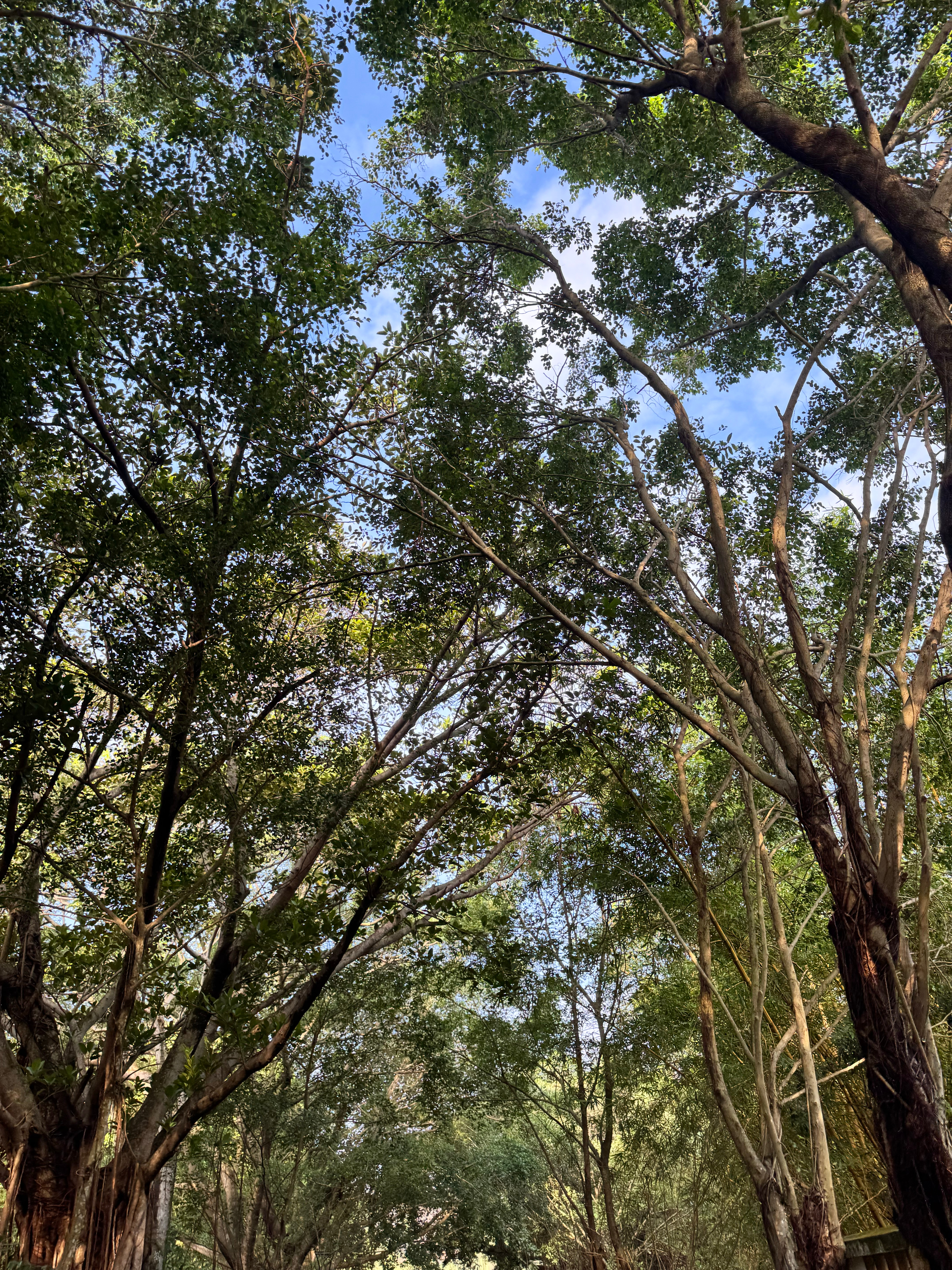 充电完毕🔋 ​​​