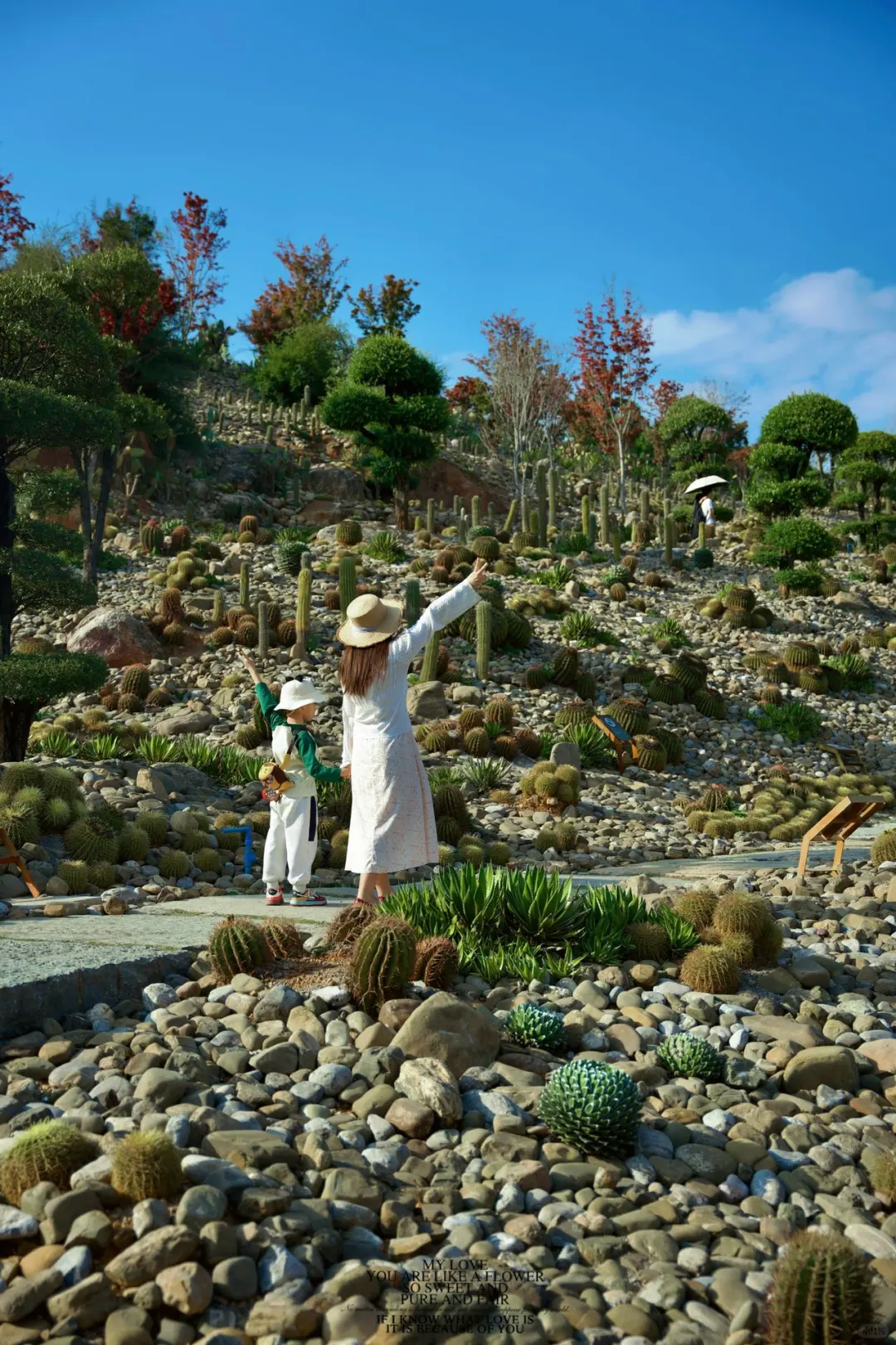 弥勒亲子游！邂逅宫崎骏的童话世界！