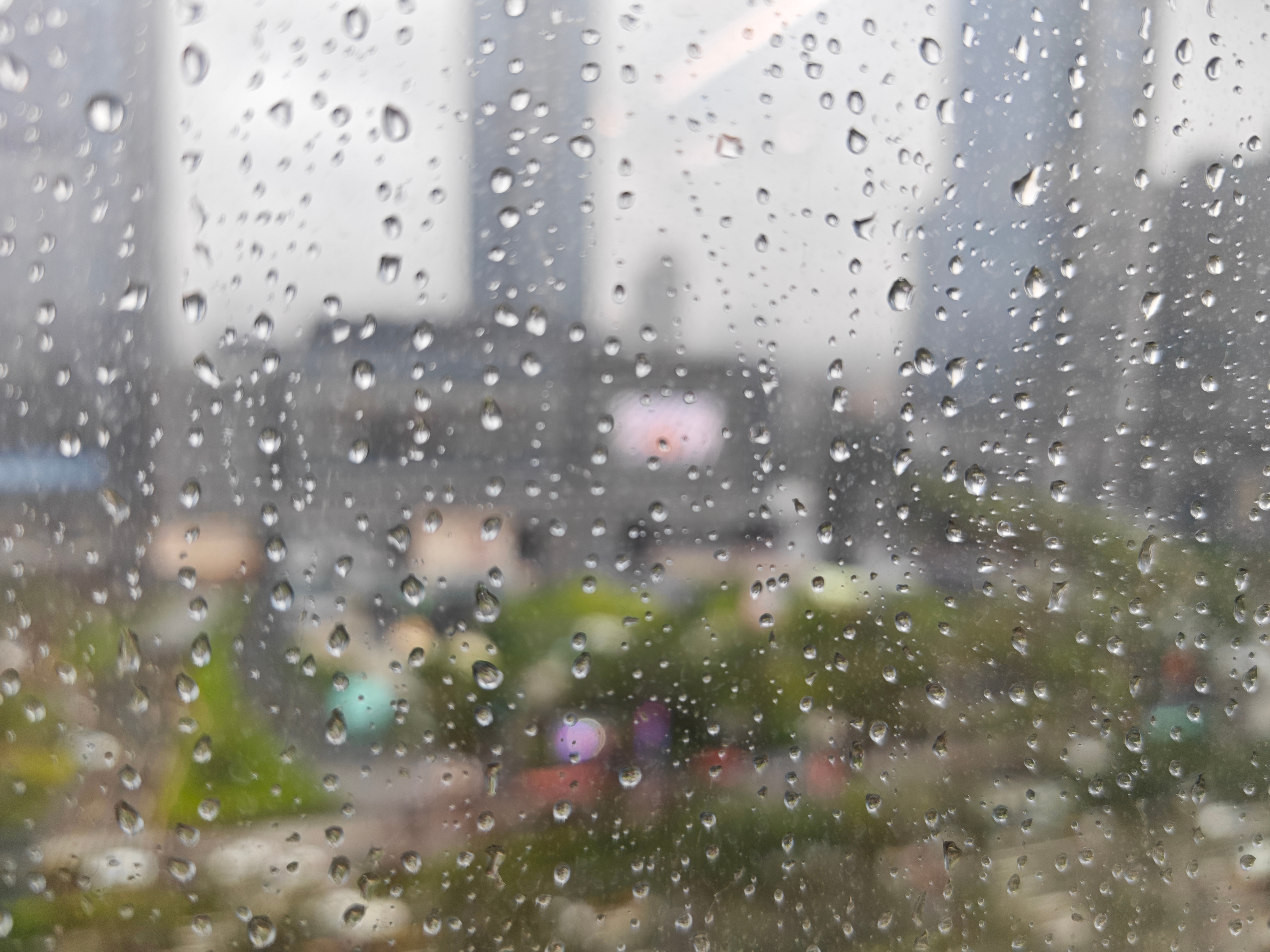 这雨断断续续下个没完，每天都是湿漉漉的北方也有了南方的感觉，不同就是温度更低 长