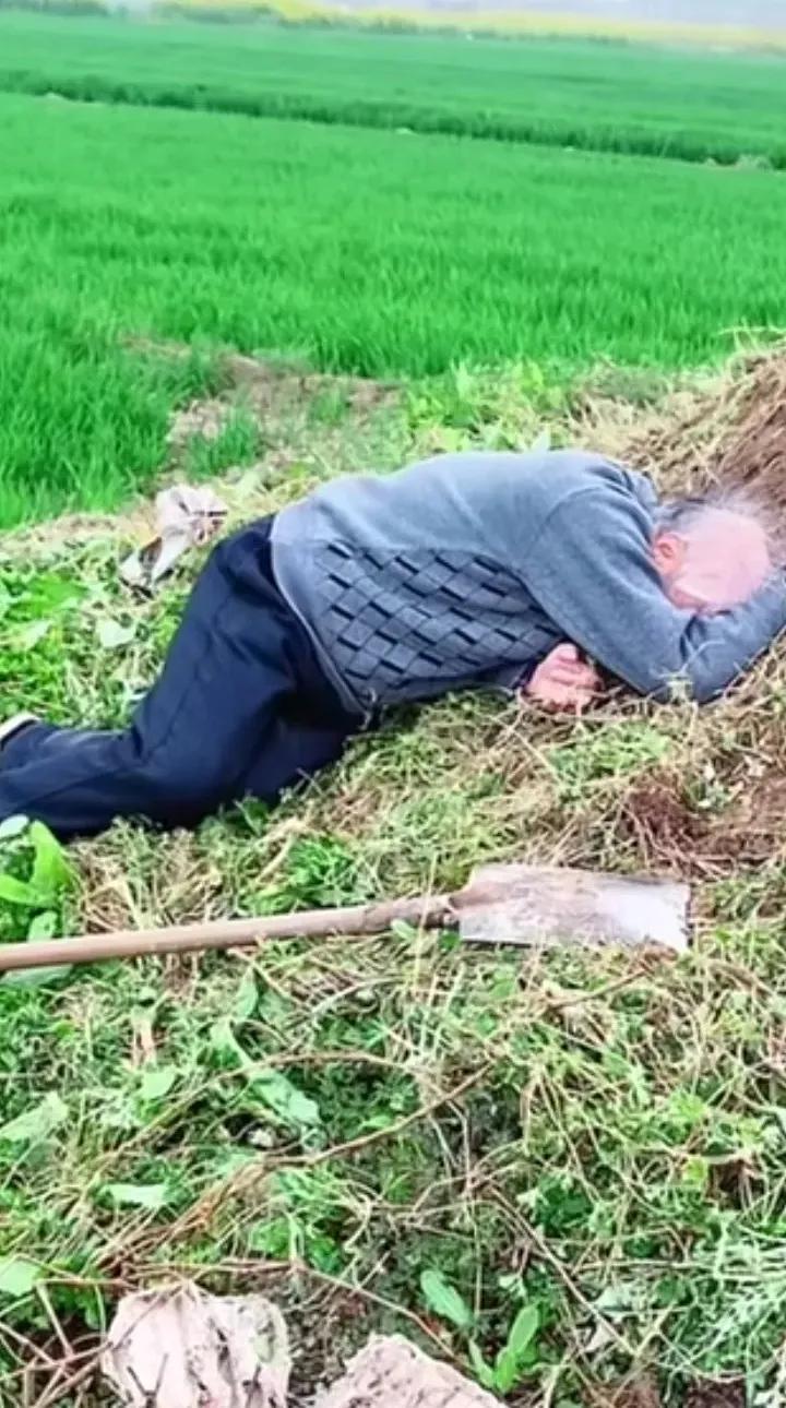 今天的这一幕，谁不泪流满面！
      扑在父母坟头嚎啕大哭的老人已是期颐高龄