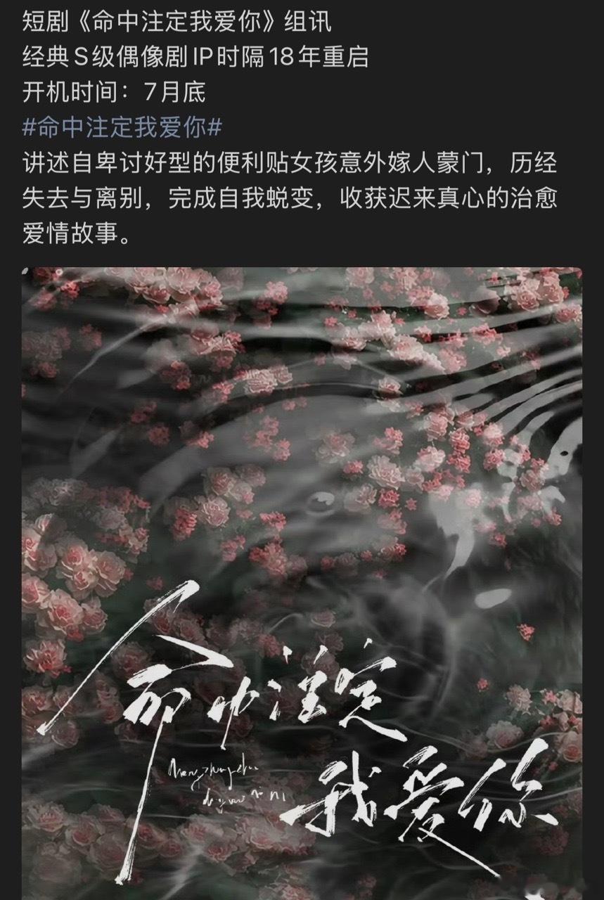 娱乐命中注定我爱你组讯命中注定我爱你将翻拍 命中注定我爱你要翻拍了 