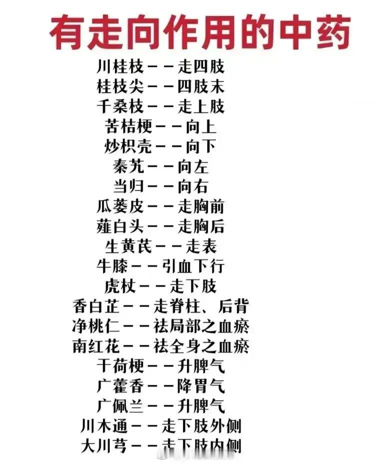 中药里的引经药你听说过吗？它们可是药方中的“导航员”，能将药效精准送达病灶或经脉